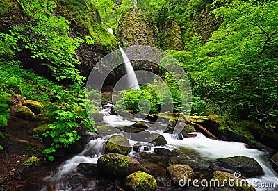 Upper ponytail falls Stock Photo