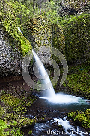 Upper ponytail falls in Columbia river gorge, Oregon Stock Photo