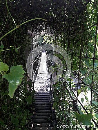 Upper Ravana Falls Ella sri lanka Stock Photo