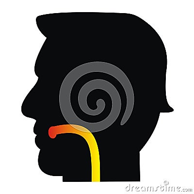 Health care, silhouette of human head Vector Illustration