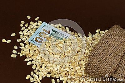 Upper view of a corn sack and a one hundred USD bill Stock Photo