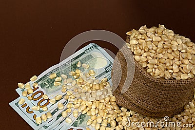 Upper view of a corn sack and one hundred USD bills Stock Photo