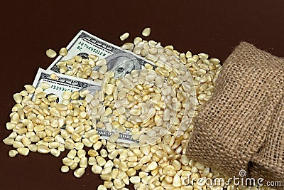 Upper view of a corn sack and two one hundred USD bills Stock Photo