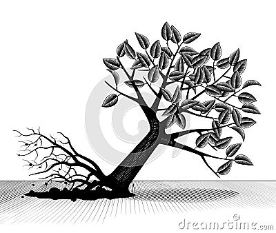 Uprooted and fallen tree with foliage Vector Illustration