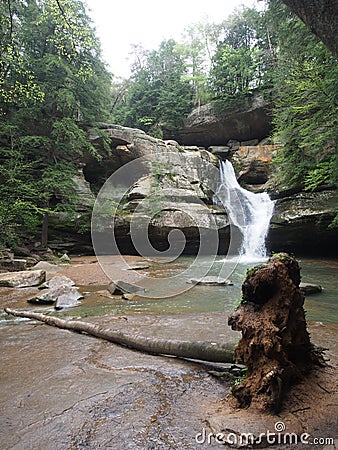 Uprooted at the Falls Stock Photo