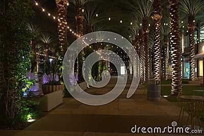 Upscale business and retail shopping at night Stock Photo