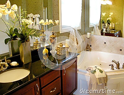 Upscale Master Bathroom Stock Photo