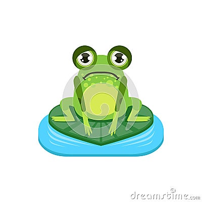 Upset Cartoon Frog Character Vector Illustration