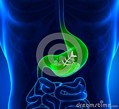 Upset stomach - Stomach Ache Stock Photo