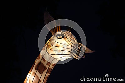 An upshot of a lantern giraffe Stock Photo