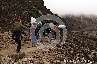 Upwards on a Machame route. Stock Photo