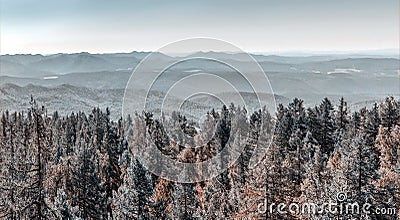 Ural Taiga against the backdrop of distant mountain peaks Stock Photo