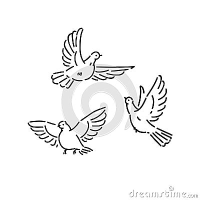 Urban birds wild pigeons flying line art style character vector black white isolated illustration. Vector Illustration