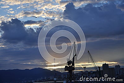 Urban city sunset, crane and seagull in fly Stock Photo