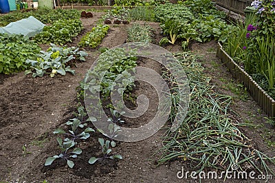 Urban farm in Interlaken Stock Photo