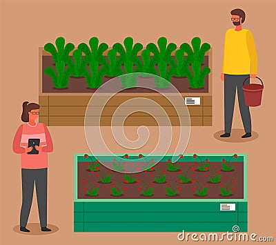 Urban farming, gardening or agriculture. Woman and man planted out the sprouts to wooden package bed Vector Illustration