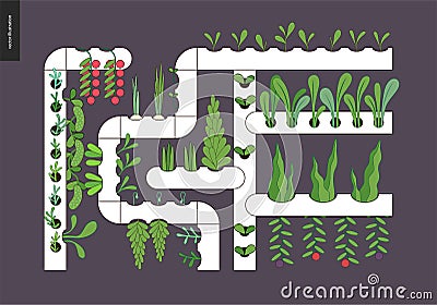 Urban farming and gardening - Hydroponics Vector Illustration