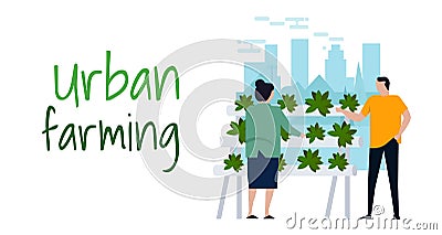 urban farming hydroponics gardening in city organic farm activities Vector Illustration