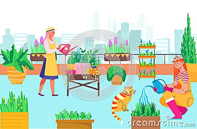 Urban green roof territory, people woman gardener character together care plants flower, rooftop farmer garden flat Vector Illustration