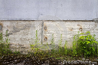 Urban grungy concrete wall with green grass Stock Photo