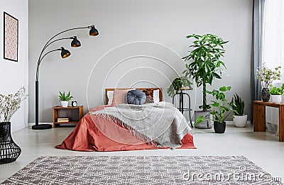 Urban jungle in bedroom with double bed, lamp and carpet Stock Photo