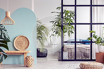 Urban jungle in bright white and blue bedroom interior with partition Stock Photo