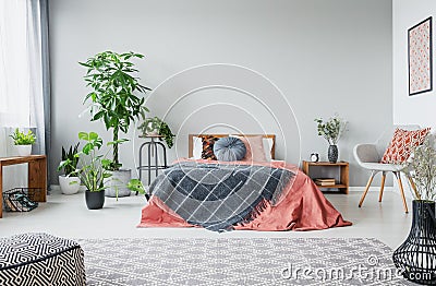 Urban jungle in modern bedroom with king size bed, comfortable grey armchair and patterned carpet Stock Photo