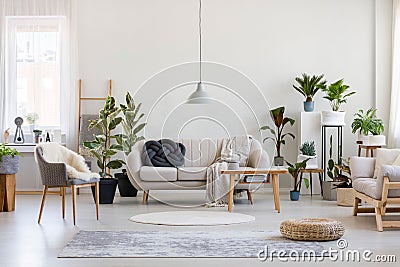 Urban jungle in trendy living room interior with white couch with black knot pillow and wooden furniture, copy space on empty wall Stock Photo