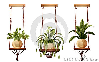 Urban Jungle Wooden Plant Suspension on White Background Stock Photo