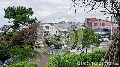 Urban landscape of a street and a green park, trees and bushes in which a gym with a stone walking path is installed on the South Editorial Stock Photo