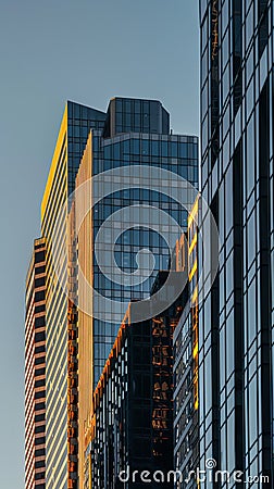 Urban Majesty: Skyscrapers in Radiant Light Stock Photo