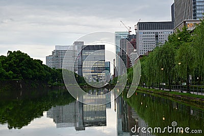 Urban Nature - City Ponds in Tokyo, Japan Editorial Stock Photo