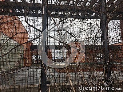 urban rooftop garden in February Stock Photo