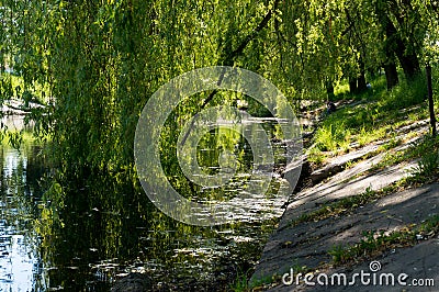 Urban small lake coast at summer sunny day Stock Photo