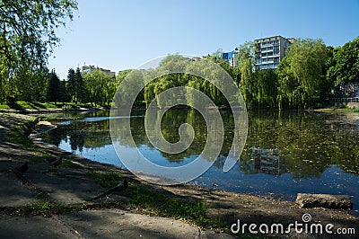 Urban small lake in Minsk at summer sunny day. Stock Photo