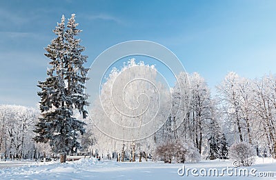 Urban winter landscape. Yaroslavl, Russia Stock Photo