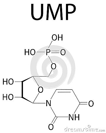 Uridine monophosphate or UMP, uridylic acid, nucleotide molecule. Building block of RNA. Skeletal formula. Vector Illustration