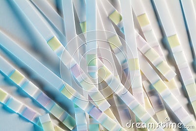 Urine analysis test strips close up Stock Photo