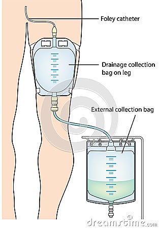 Urine collection bag Vector Illustration