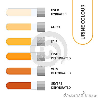 Urine color chart illustration of dehydration level Vector Illustration