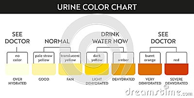 Urine color chart . Vector Illustration