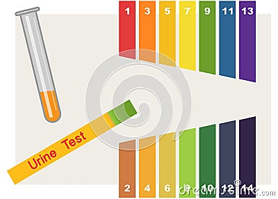 Urine Test . Hand holding test tube with pH indicator comparing color to scale and litmus strips for measurement of acidity. Vector Illustration