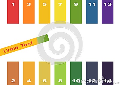Urine Test . Hand holding test tube with pH indicator comparing color to scale and litmus strips for measurement of acidity. Vector Illustration