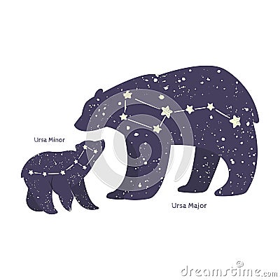 Ursa major and ursa minor Cartoon Illustration