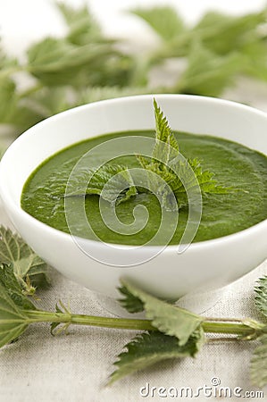 Urtica Cream Stock Photo