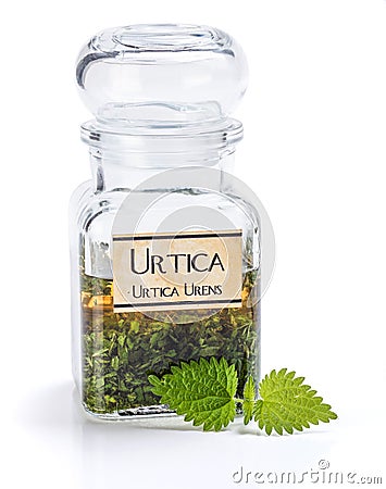 Urtica Urens plant extract Stock Photo