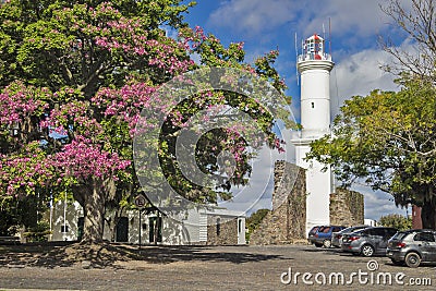 Uruguay - Colonia del Sacramento - Flowering tree of bougainvillea and old lighthouse in the historic quarter of the city Editorial Stock Photo
