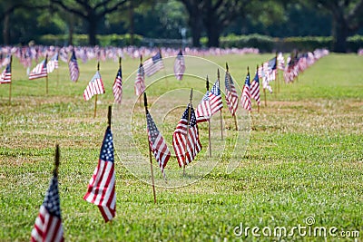 Us flags in a veterans cemetery on Veterans day Stock Photo