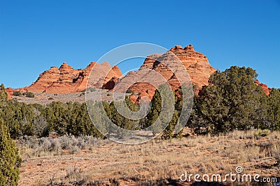 USA, Arizona: Coyote Buttes South - Landscape with Sandstone Buttes and Junipers Stock Photo