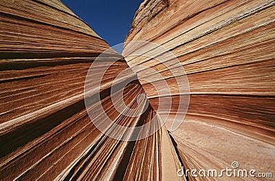 USA Arizona Paria Canyon-Vermilion Cliffs Wilderness sandstone rock formations close up Stock Photo